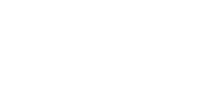 SATELITE